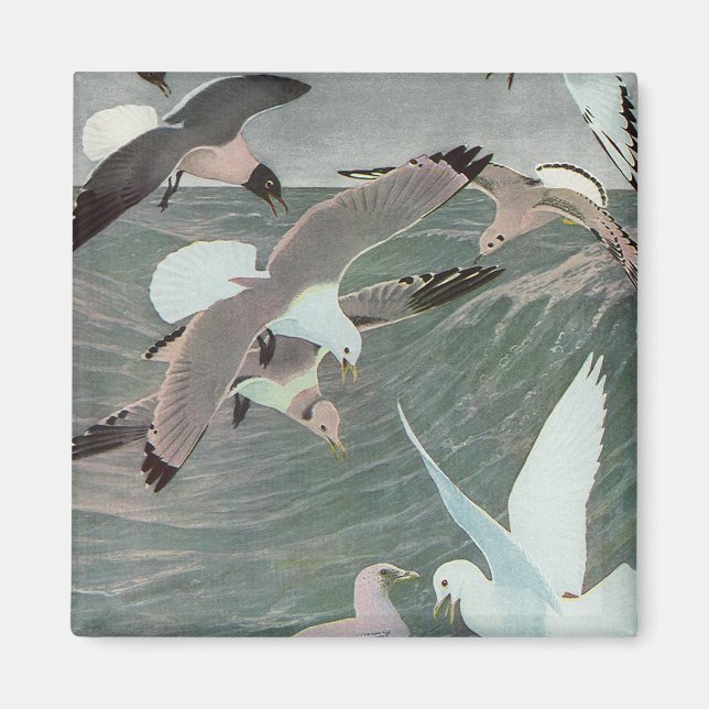 Aimant Mouettes au-dessus des vagues océaniques par Louis (Devant)