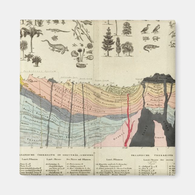 Aimant Moyenne d'une partie de la croûte terrestre (Devant)