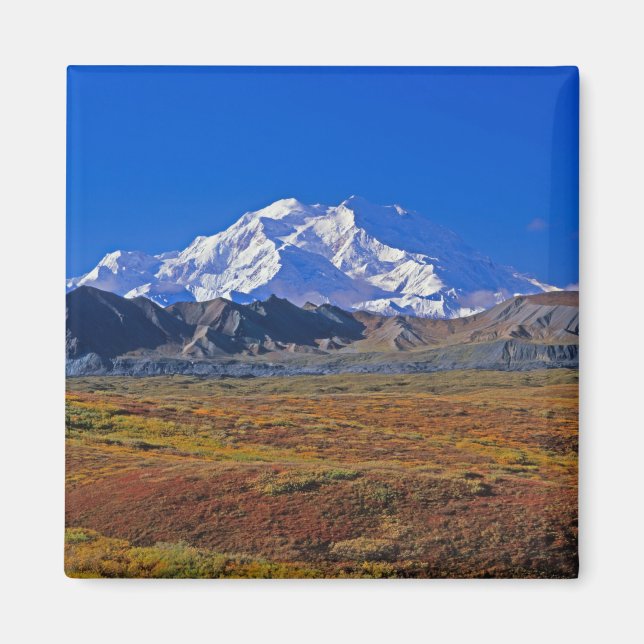 Aimant Mt. Parc national McKinley Denali, Alaska. (Devant)