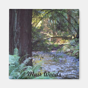Aimant Muir Woods Stream