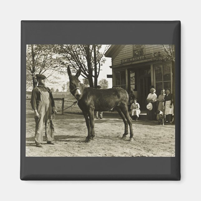 Aimant Mule de Milwaukee NÉGATIVE EN VERRE 5x7 (Devant)