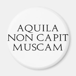 Aimant Muscam Aquila Non Captive
