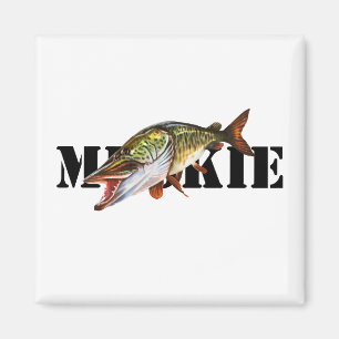 Aimant Muskie