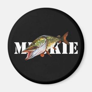 Aimant Muskie