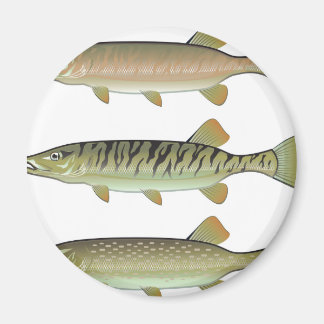 Aimant Musky Tiger et Northern Pike vecteur
