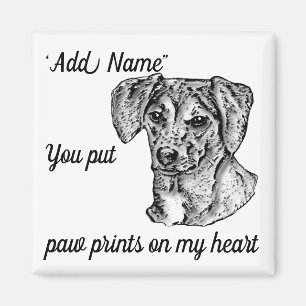 Aimant Mutt
