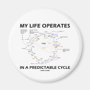 Aimant My Life Operates In A Predictable Cycle (cancer)