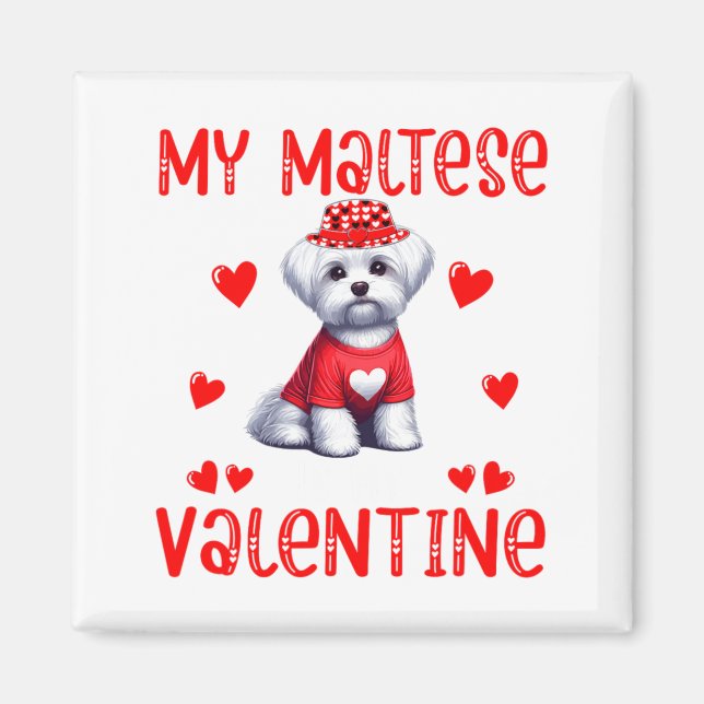 Aimant My Maltese Is My Valentine Hearts Costume Single O (Devant)