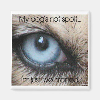 Aimant Mydogs pas gâté, je suis juste bien entraînée