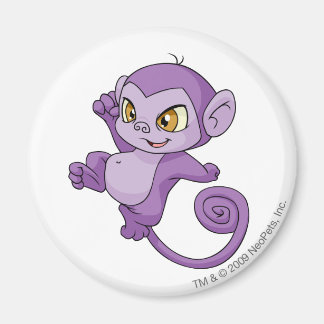 Aimant Mynci Purple
