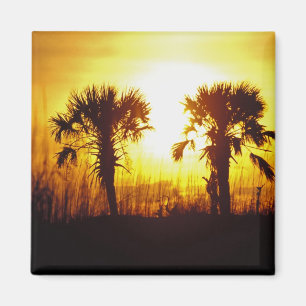 Aimant N.A., États-Unis, Caroline du Sud, Charleston. Cou