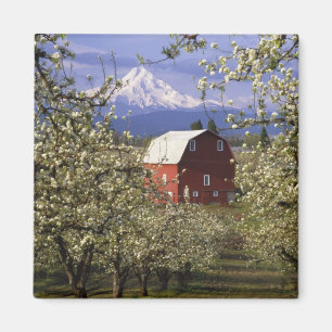 Aimant N.A., Etats-Unis, Orégon, le comté de Hood River