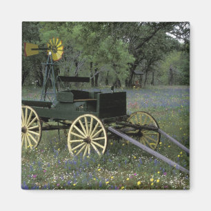 Aimant N.A., États-Unis, Texas, Devine, Vieux chariot et