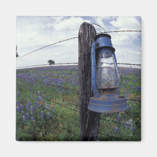 Aimant N.A., États-Unis, Texas, Llano, Lanterne bleue, Ch