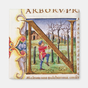 Aimant 'N' initial historique