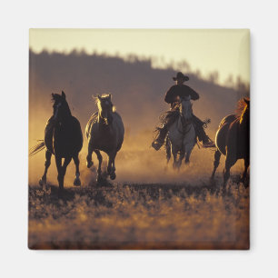 Aimant NA, États-Unis, Oregon, Seneca, Ponderosa Ranch, C