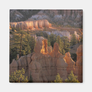 Aimant NA, États-Unis, Utah, Bryce Canyon NP 2