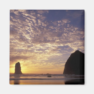 Aimant NA, USA, Oregon, Côte de l'Oregon, Canon Beach av