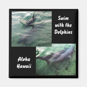 Aimant Nager avec les dauphins Hawaii
