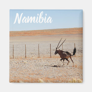 Aimant Namibie Afrique Paysage Désert namibien Oryx