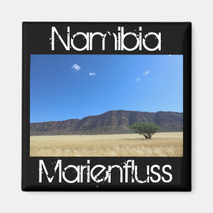 Aimant Namibie Marienfluss Savannah Paysage Nature