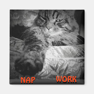 Aimant Nap ou travail ? Kitty Dit "Nap" Meme