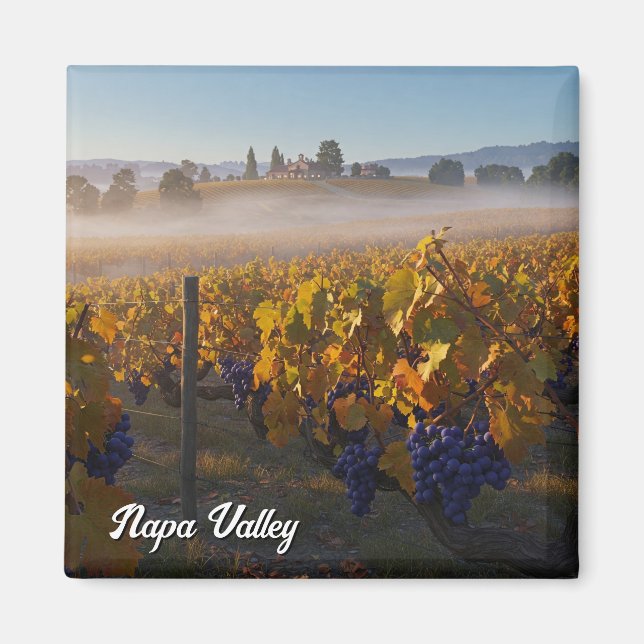 Aimant Napa Valley California Vinyard Winery (Devant)