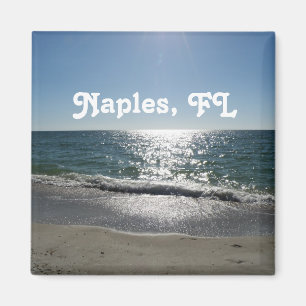 Aimant Naples, la Floride