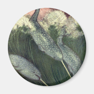 Aimant Narwhals vintages, Vie Marine Baleines Animaux mar