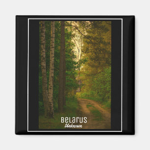 Aimant Nature Forêt Village Rural Cabine Biélorussie Inco