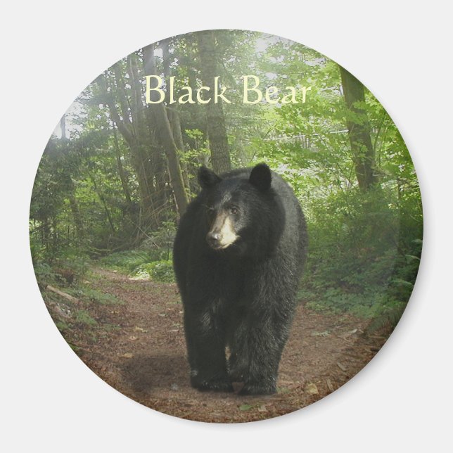 Aimant naturel de la forêt d'OURS NOIR (Devant)