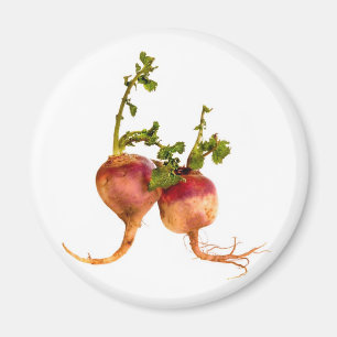 Aimant Navet vos tastebuds