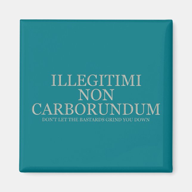 Aimant Ne laissez pas les bâtards vous dénigrer - Lumière (Devant)