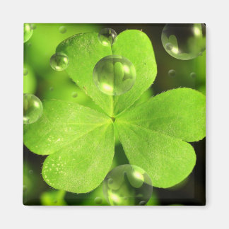 Aimant Ne laissez pas votre chance laver l'aimant