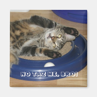 AIMANT NE ME TAZ PAS, BRO !