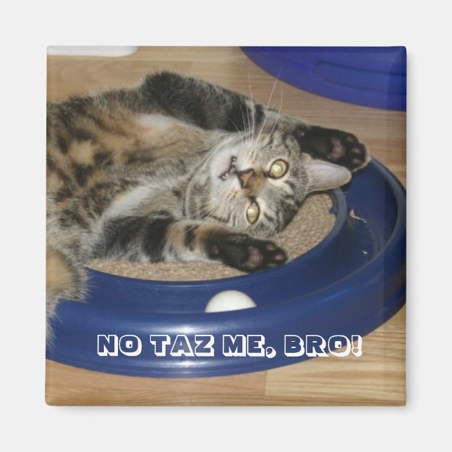 AIMANT NE ME TAZ PAS, BRO ! (Devant)