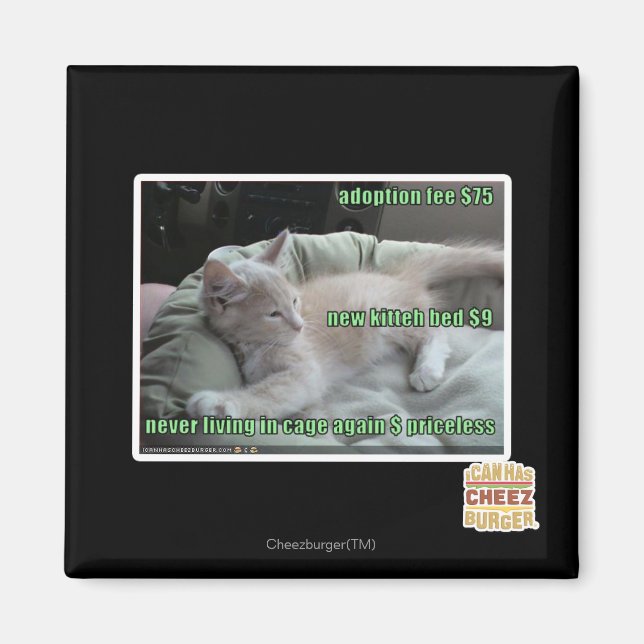 Aimant Ne plus jamais vivre dans une cage (Devant)