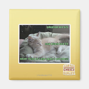 Aimant Ne plus jamais vivre dans une cage