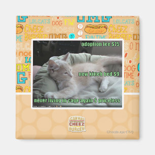 Aimant Ne plus jamais vivre dans une cage