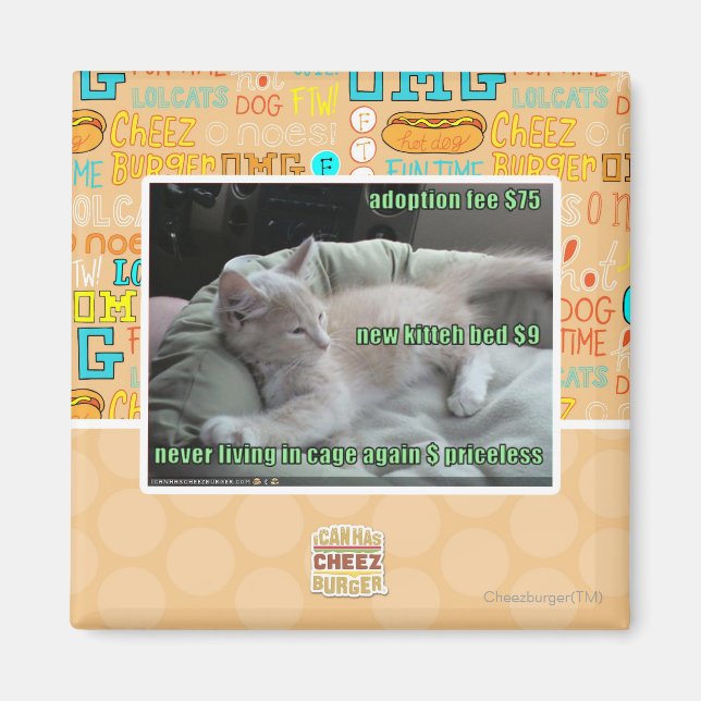 Aimant Ne plus jamais vivre dans une cage (Devant)