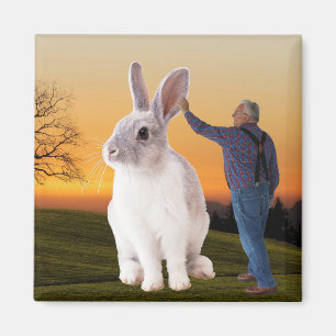 Aimant NED ET gros lapin