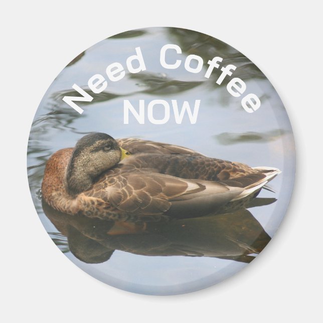 Aimant Need Coffee Sleepy Duck Funny  (Devant)