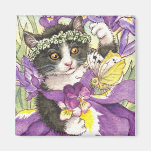 Aimant néerlandais Iris Kitten