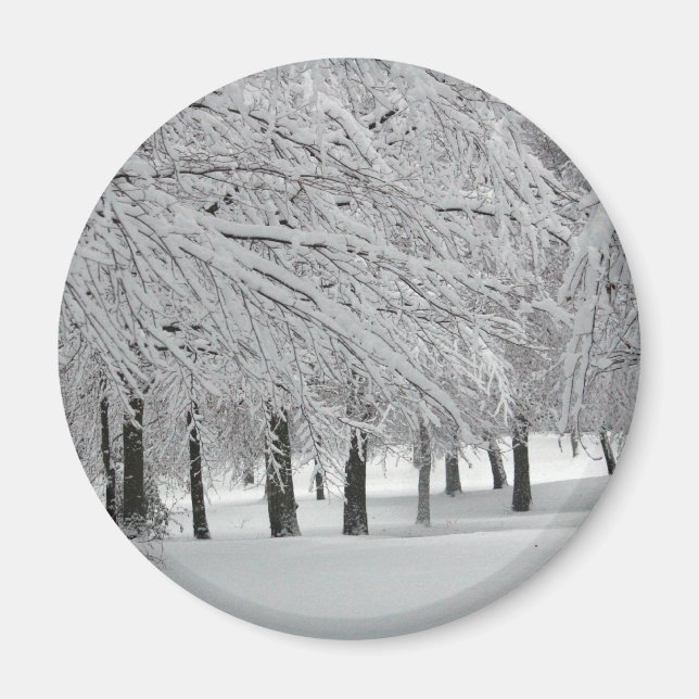 Aimant neige (Devant)