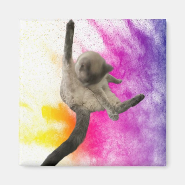 Aimant Nettoyage (Devant)