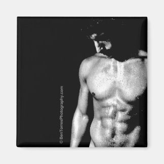 Aimant Nick est David