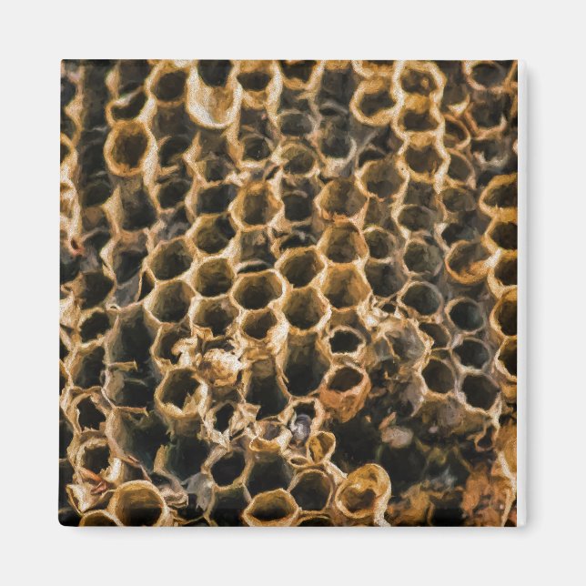 Aimant Nid vide (Devant)