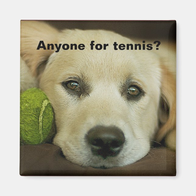 Aimant N'importe qui pour le tennis, golden retriever. (Devant)