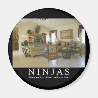 Aimant ninjas