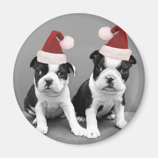 Aimant Noël Boston Terriers (Devant)